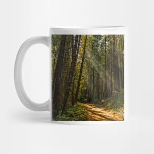 Smokey Forest Mug